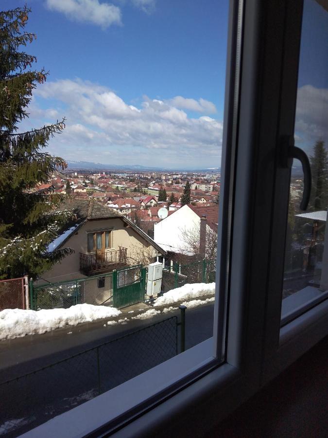 Flori'S Apartment Braşov Esterno foto